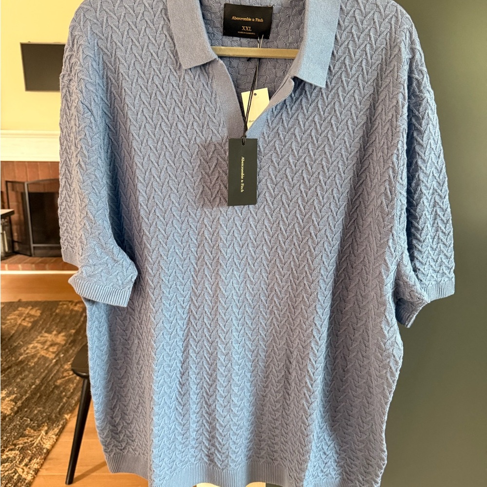 Abercrombie & Fitch Men's Pale Blue Textured Knit Polo